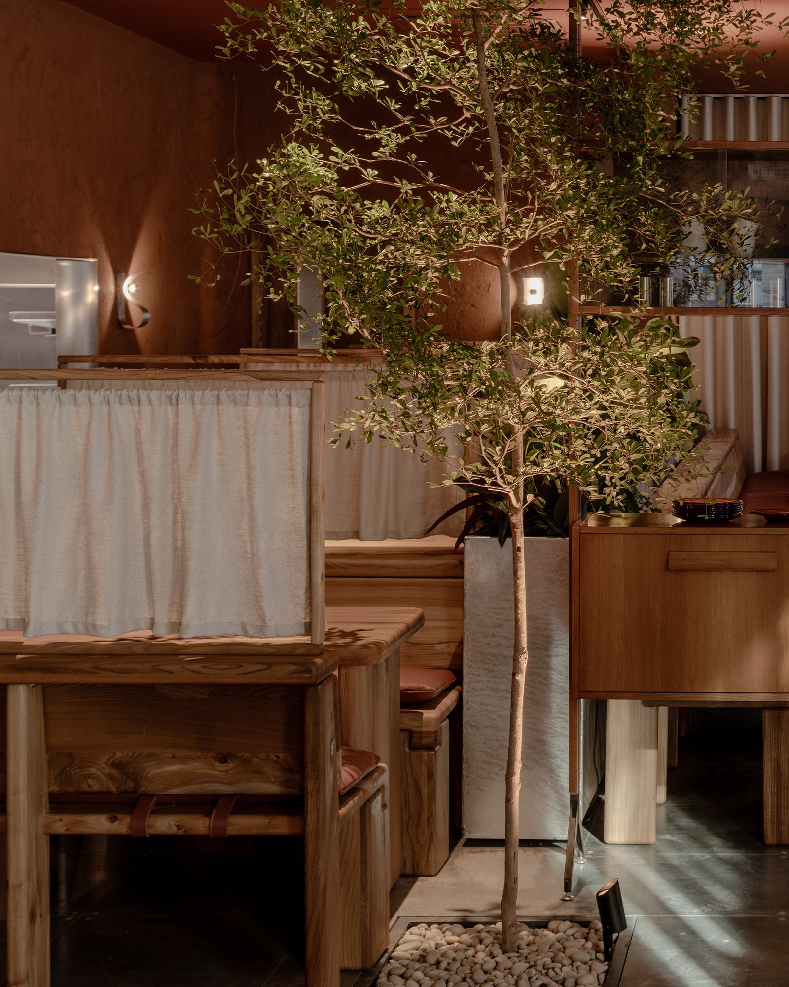 Clay-plastered interior at Ara, East London, by Nina+Co.